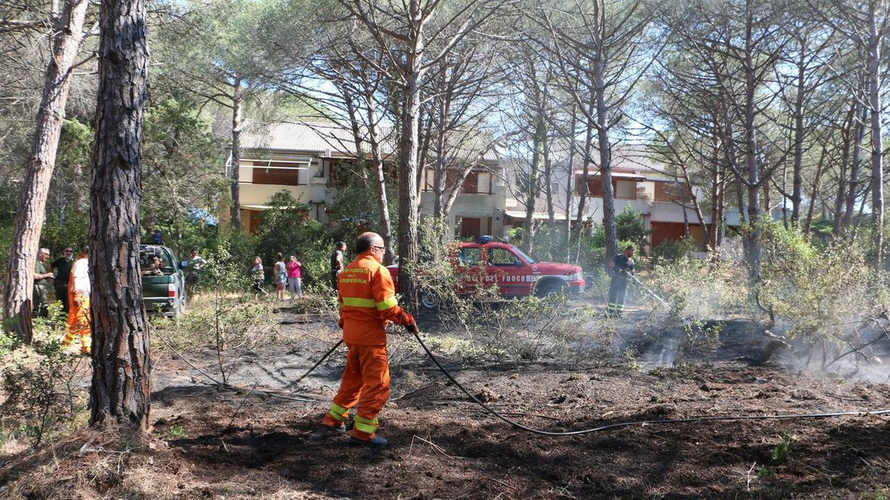 Fiamme nella pineta, momenti di paura ad Arboriamar
