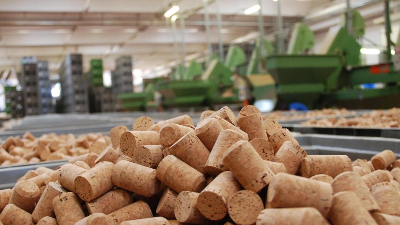 Sughero, in agonia l’oro dell’isola: a picco la produzione e il prezzo