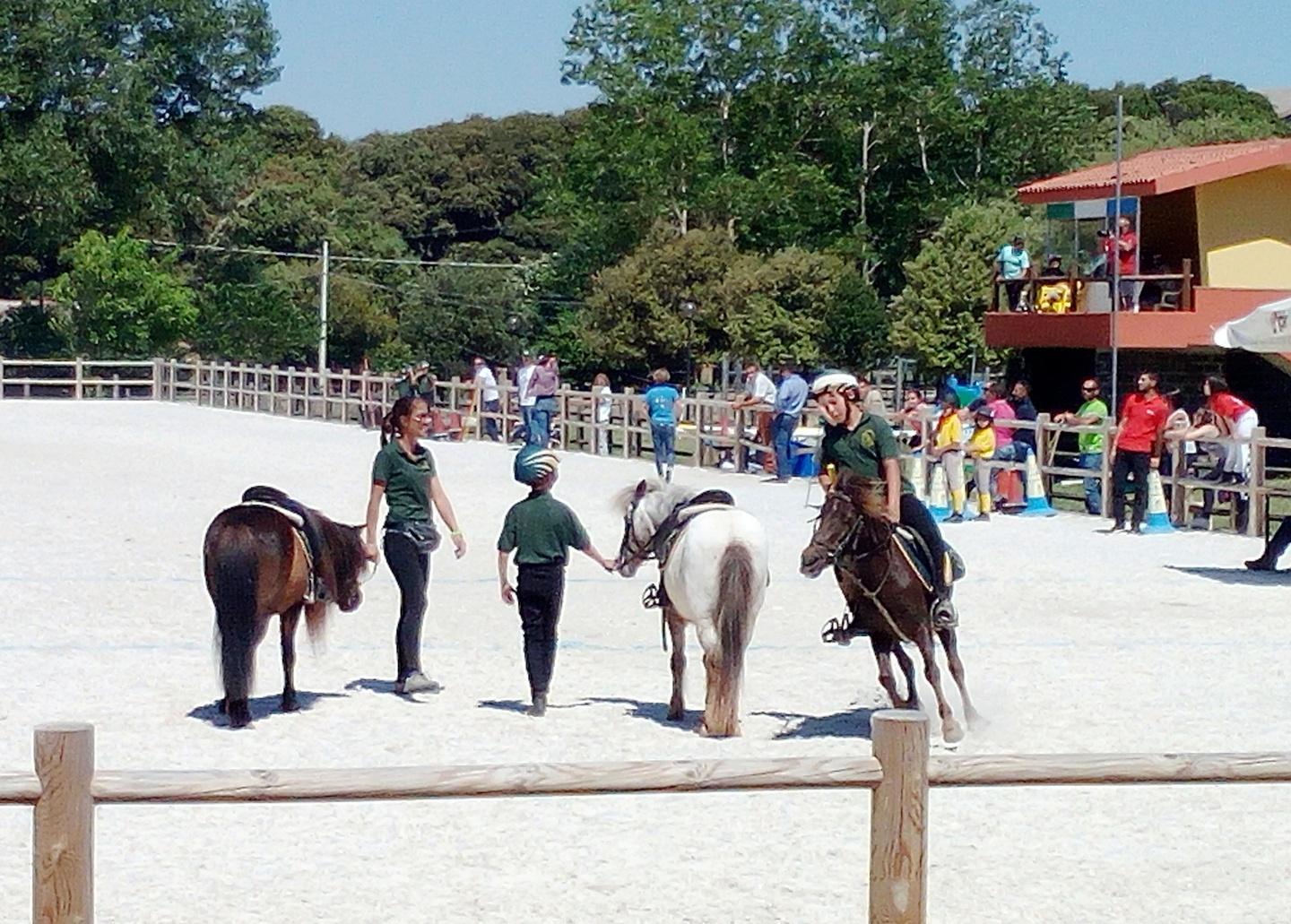 La carica dei 70 mini cavalieri al campionato Pony club