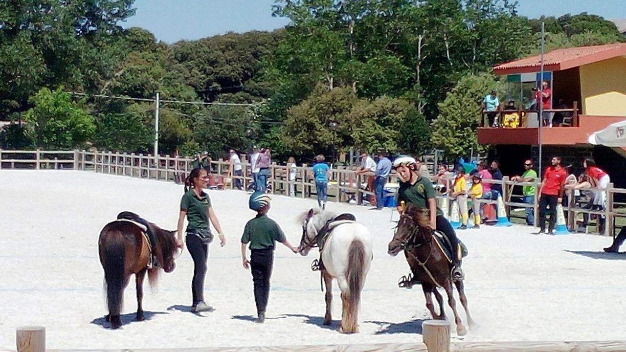 La carica dei 70 mini cavalieri al campionato Pony club
