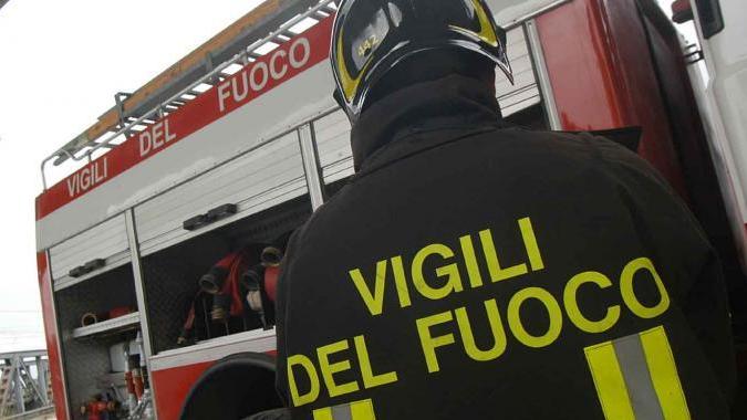 Fiamme nel bosco e nell'oliveto