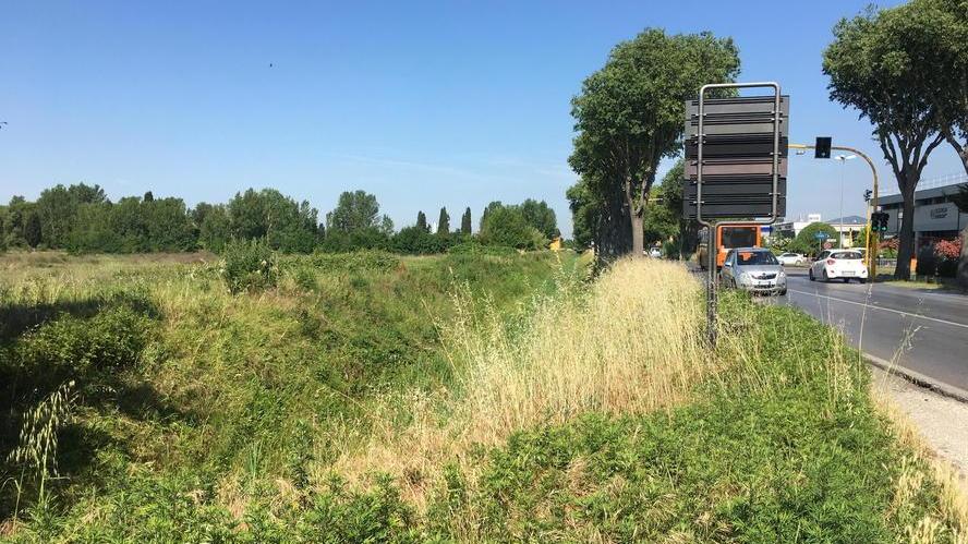 «Eliminate le maleodoranze del fosso»
