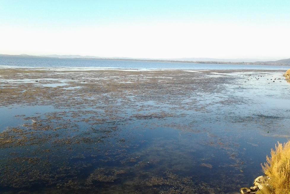 Sani: «Laguna, l’accordo non funziona»