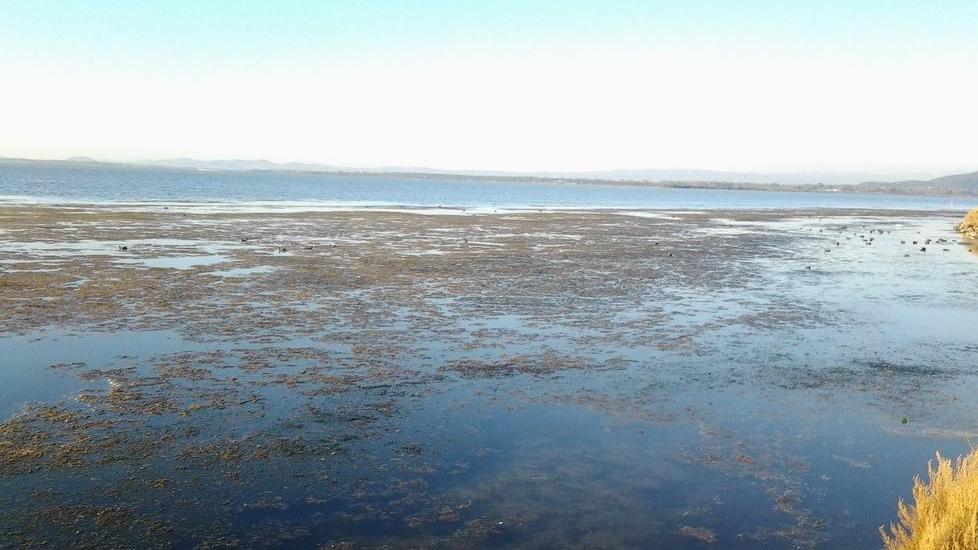Sani: «Laguna, l’accordo non funziona»