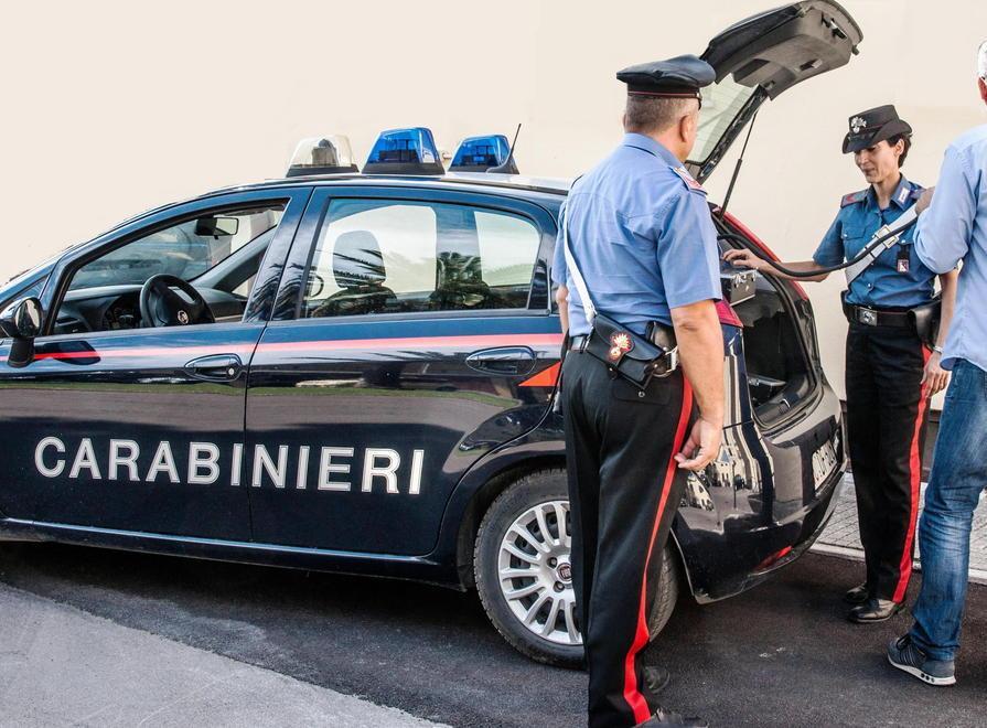 Lavoro nero in serra: multa da 30.000 euro 