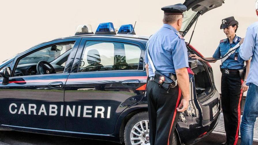 Lavoro nero in serra: multa da 30.000 euro