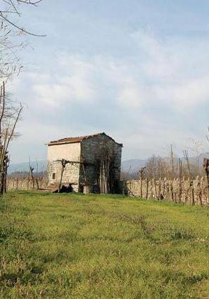 Fabbricati rurali fuori regola Migliaia di avvisi 