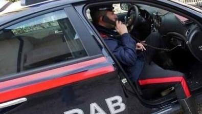 «Quei ragazzini si sono sdraiati e aspettavano le auto»