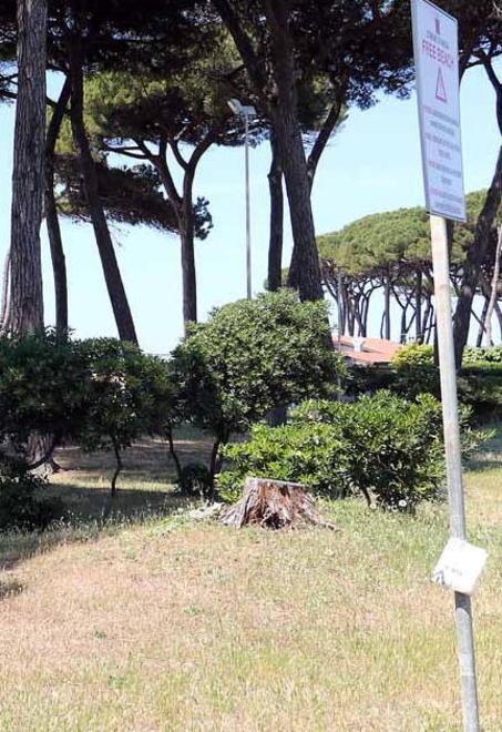 L’appello di Partaccia «Caos via Baracchini, serve il senso unico» 