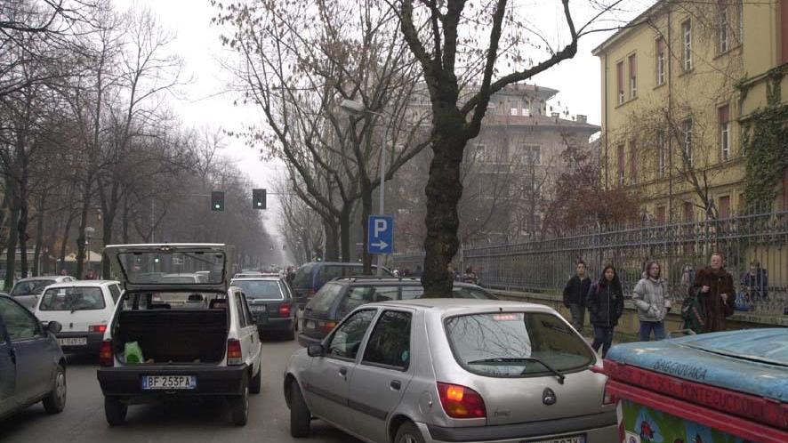 Paoli-S.Carlo, sondaggio e polemiche