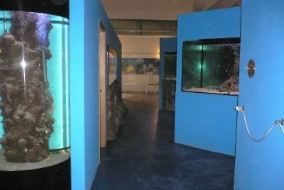 Valpiana, giornata di festa all’acquario