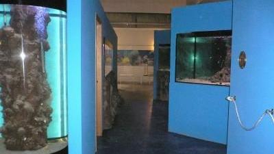Valpiana, giornata di festa all’acquario
