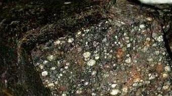 Astri, la passione di un ferrarese è diventata lavoro