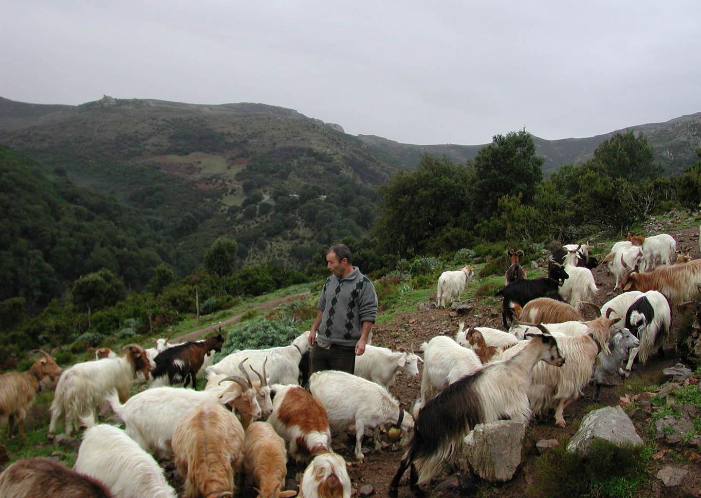 Gennargentu, riparte l’iter per il Parco 