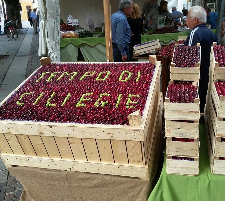 Tutti gli appuntamenti del week end a Modena e provincia