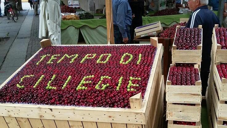 Tutti gli appuntamenti del week end a Modena e provincia