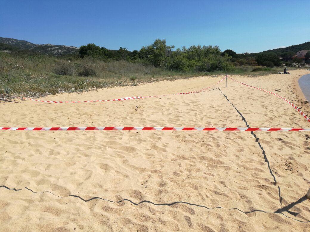 L'area transennata