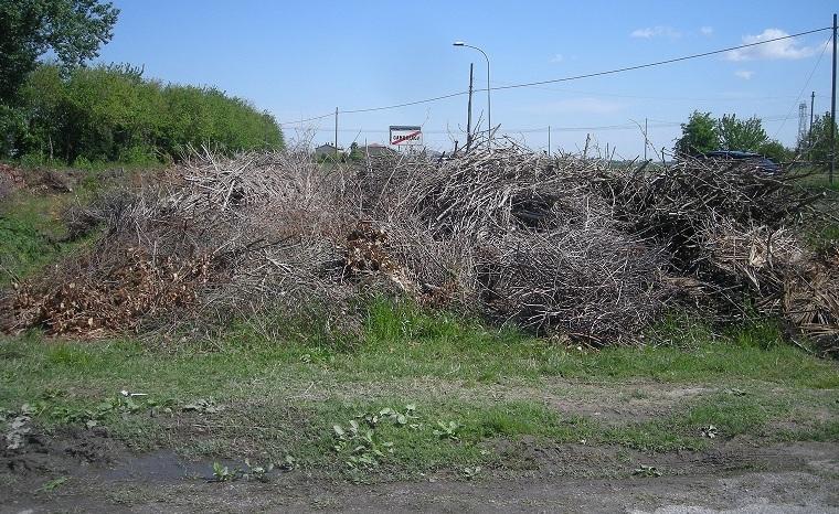 A Gambulaga è in arrivo la banda larga 