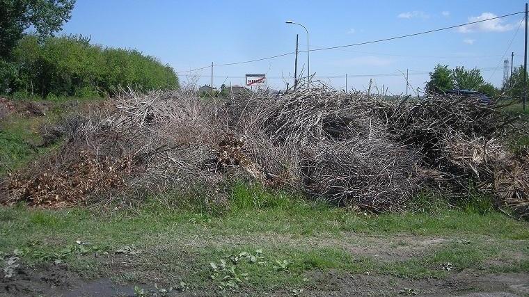 A Gambulaga è in arrivo la banda larga