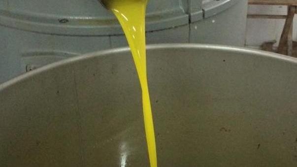 “Gioielli d’olio” in mostra a Torpè