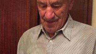 Un cucciolo di volpe trovato nei campi di Regnano