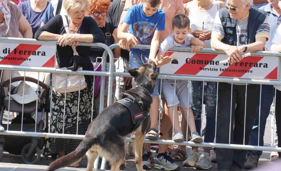 Il cane antidroga  e le carezze dei bimbi