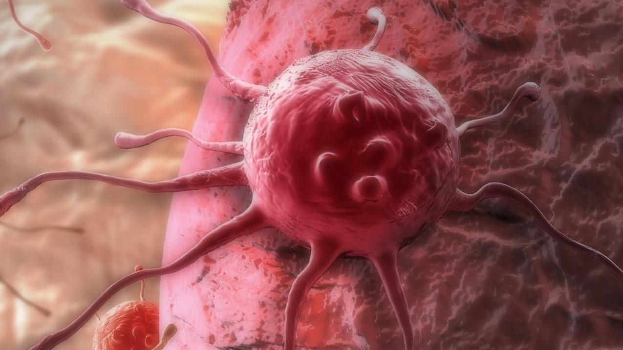 Morbillo, boom di contagi tra gennaio e maggio