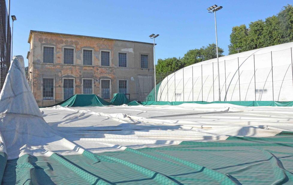 «Legno Rosso abbandonato a se stesso» 