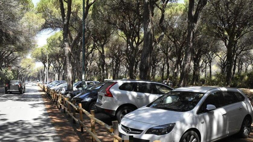 Parcheggio aperto, fuori auto in curva
