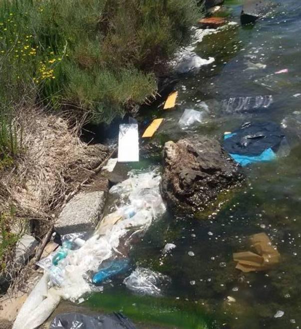 Sos rifiuti in laguna Due ambulanti scoperti dagli agenti 