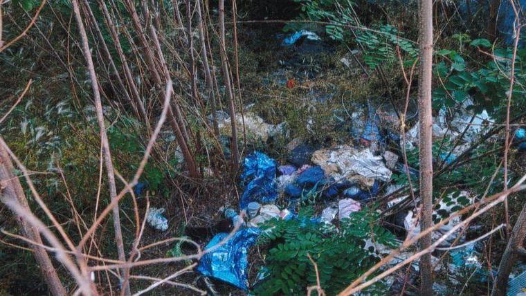 «Segnalazioni di degrado? Usate DecoroUrbano.org»
