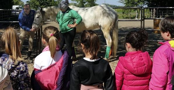 Bimbi della primaria cambiano maestri a Una scuola da cani 