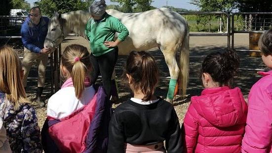 Bimbi della primaria cambiano maestri a Una scuola da cani