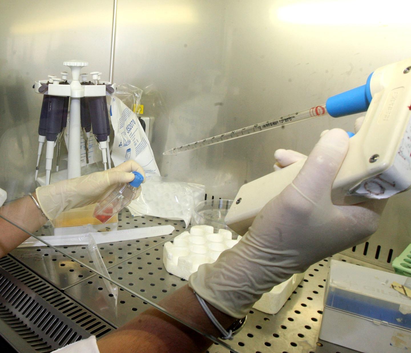 Sassari, niente reagenti: all’Aou saltano i test per i tumori  