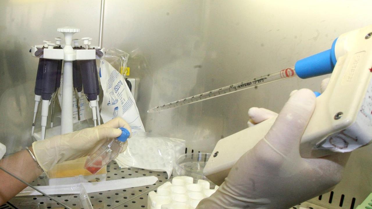 Sassari, niente reagenti: all’Aou saltano i test per i tumori  