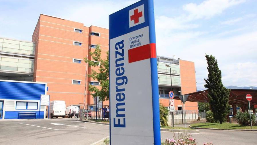Versiliesi in ospedale a causa delle zecche