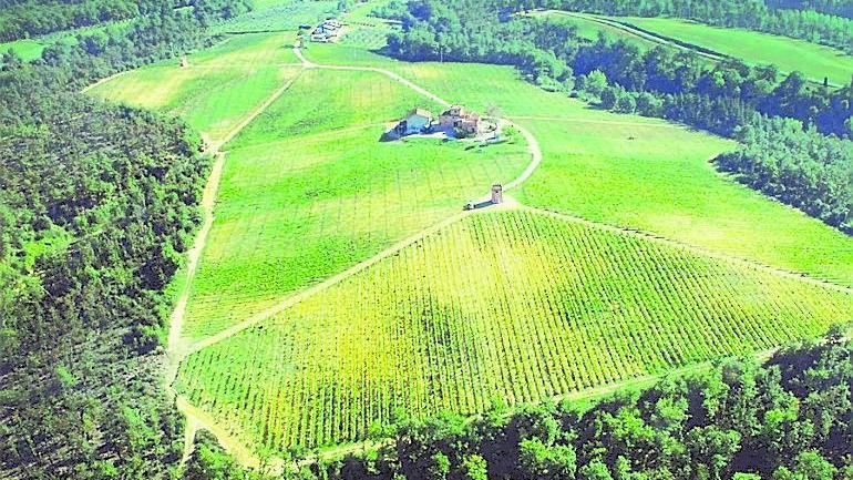 I 17 ettari di vigneti della tenuta S. Lucia alla Castellani vini