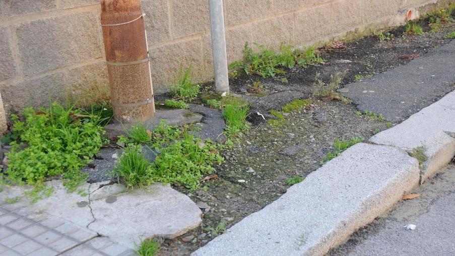 Rimuovere le erbacce costerà di più