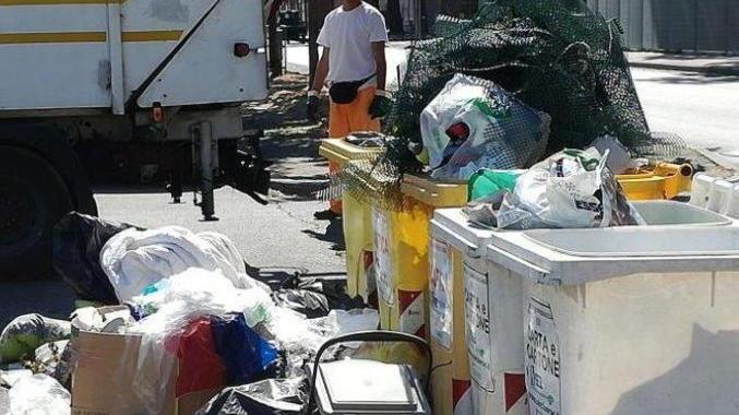 Allarme topi nel quartiere Varignano