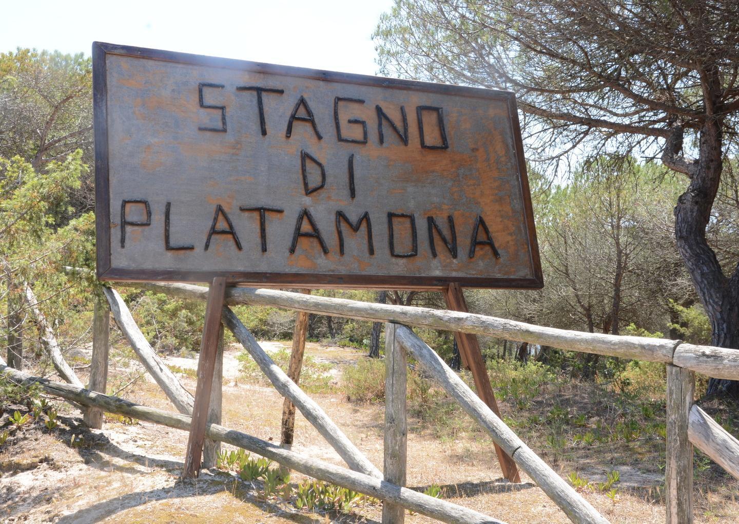 Ma sullo stagno nessun progetto 