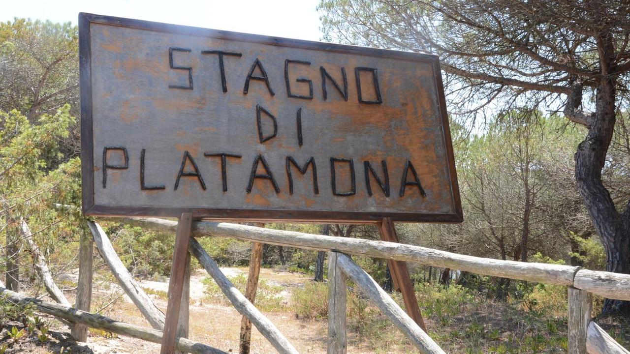 Ma sullo stagno nessun progetto