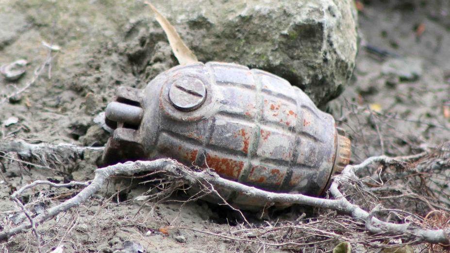 Trovata bomba a mano sull’argine del Po