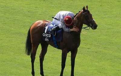 Cristian Demuro asso pigliatutto a Chantilly 
