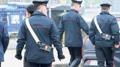 Carpi, prenota on line un bulldog ma riceve un "bastardino"