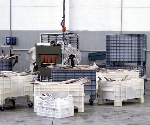 Le casse della Capp Plast