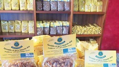 Dalla nuova pasta di farro alle farine di grani antichi
