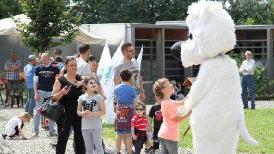 Bambini, cucciolotti più cani da “visitare” domenica pomeriggio