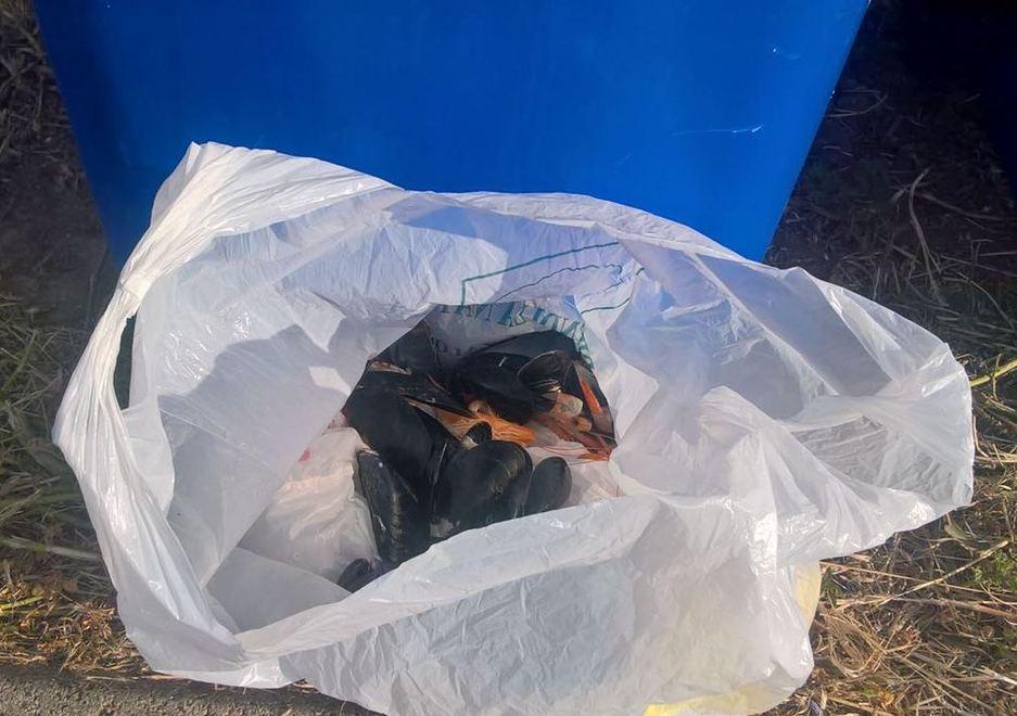 Una rete di 45 telecamere contro i rifiuti in strada 