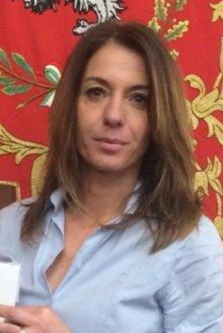 Solidarietà da opposizione, Sei e Movimento sovranità