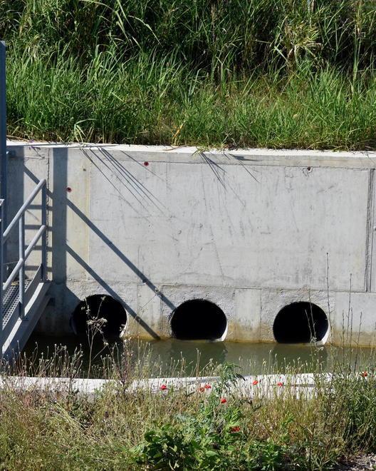Orti inzuppati Scaricabarile tra cinque enti 